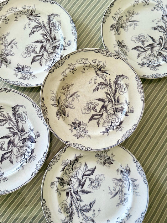 Set of 5 Antique Eastern Birds Transferware Plates