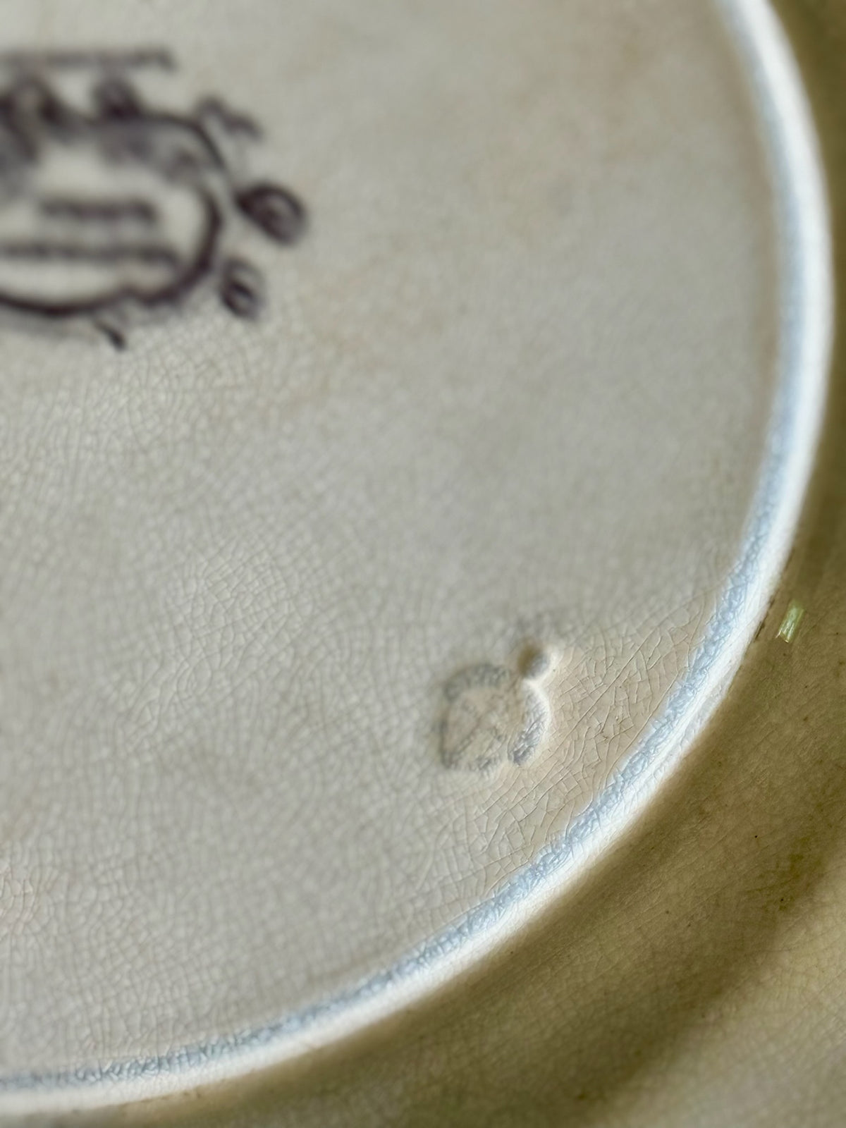 Set of 5 Antique Eastern Birds Transferware Plates