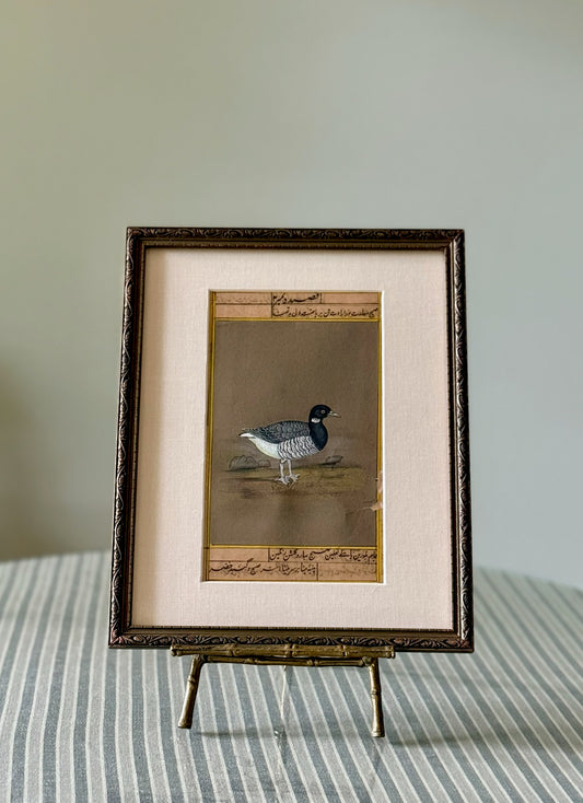 Antique Indian Bird Watercolor Painting