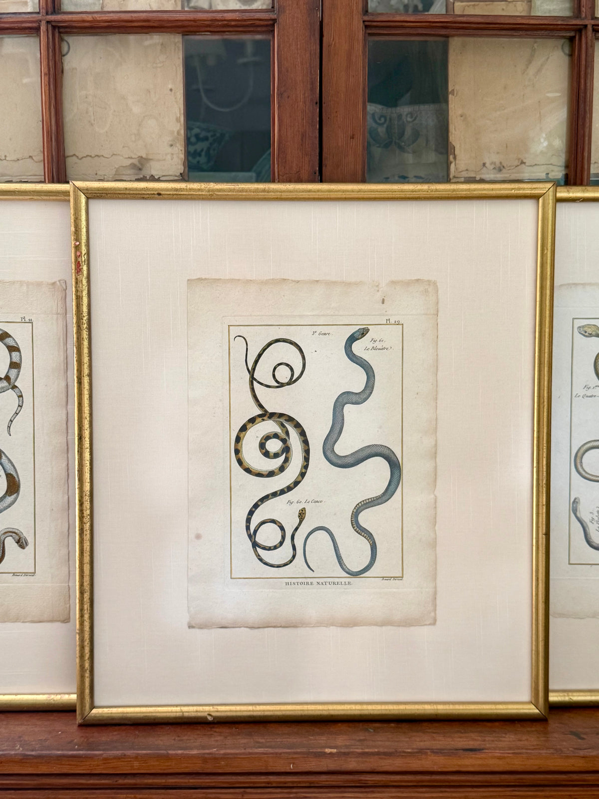 French 18th Century Snake Engravings