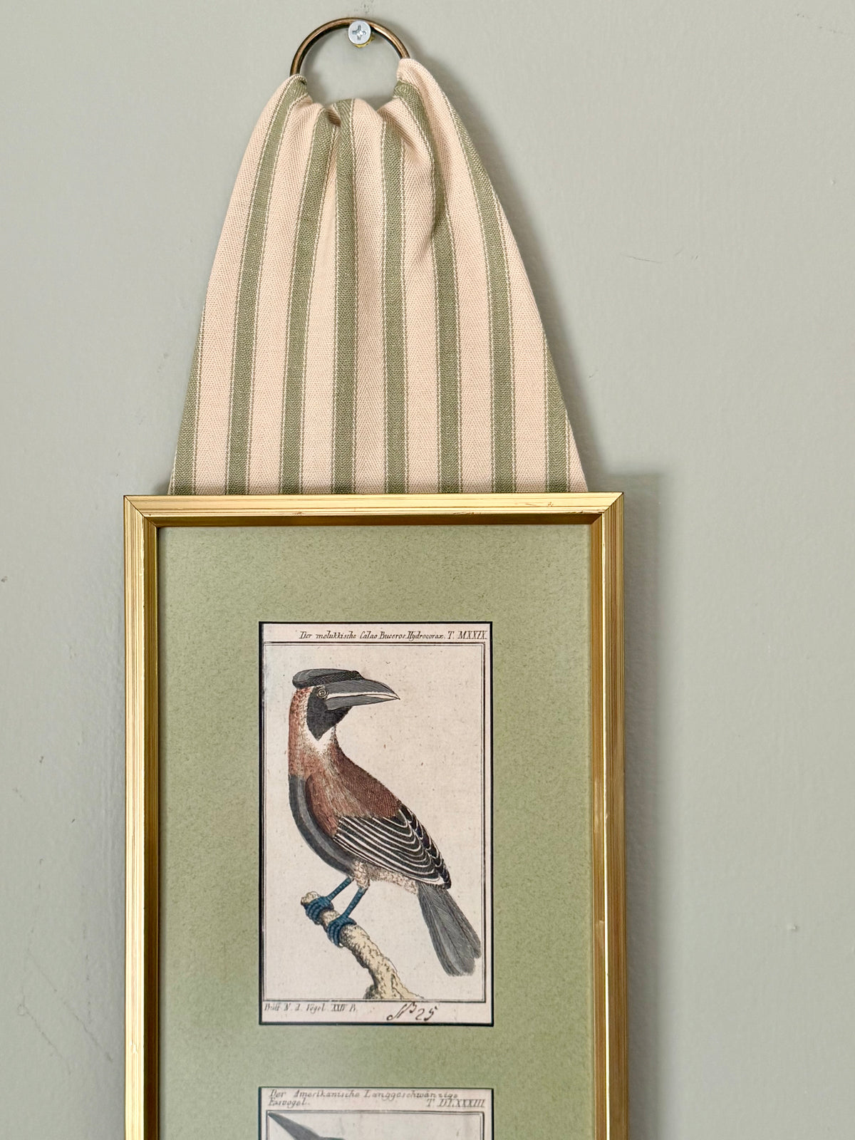 Pair of Uniquely Framed 19th Century Bird Engravings