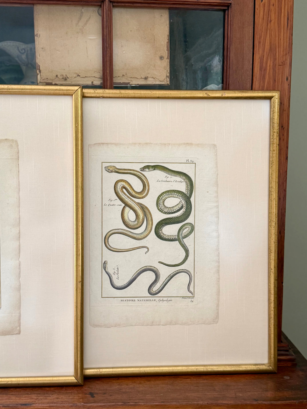 French 18th Century Snake Engravings