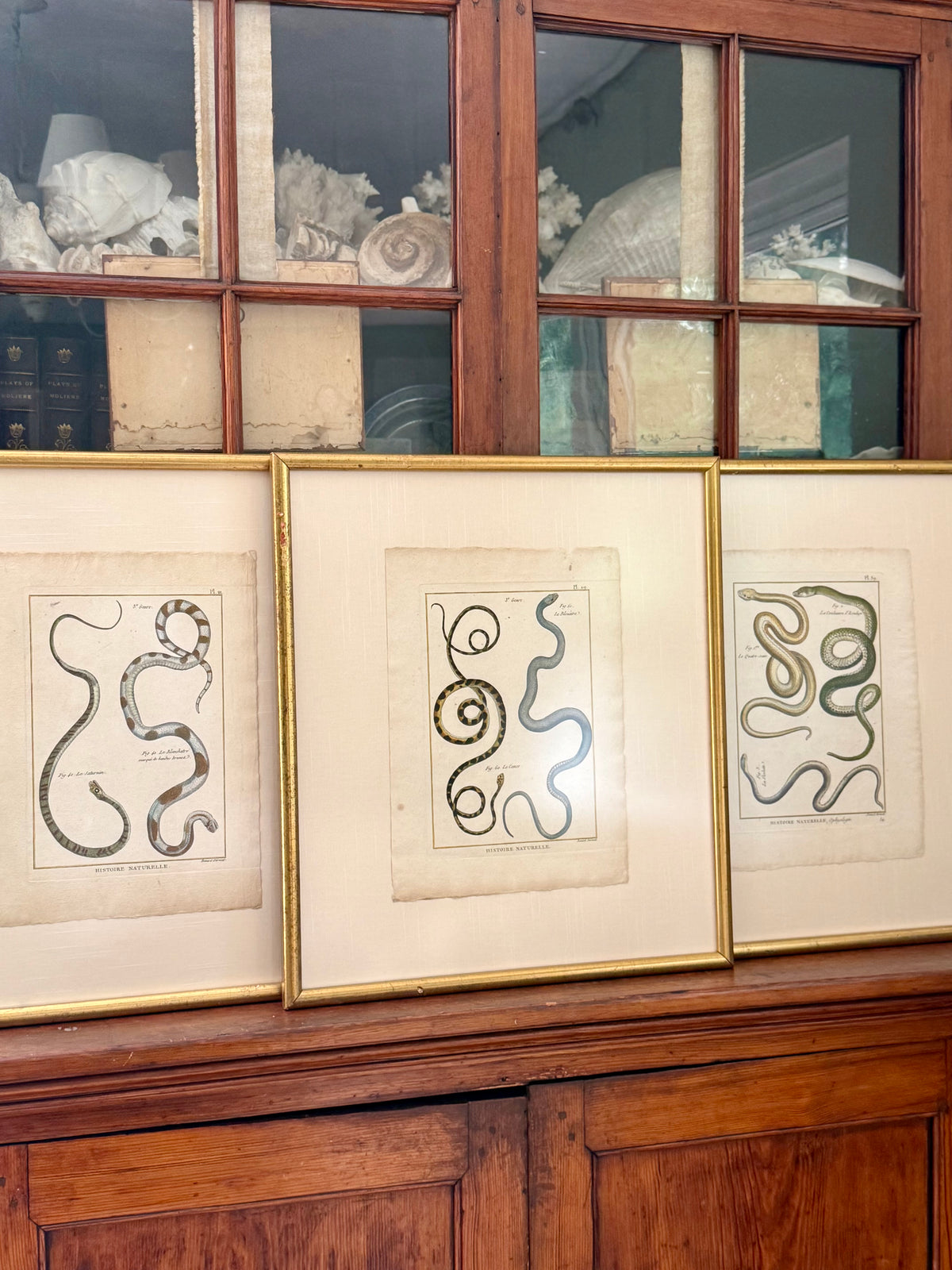 French 18th Century Snake Engravings