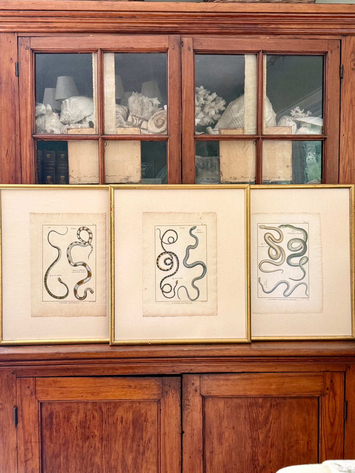 French 18th Century Snake Engravings