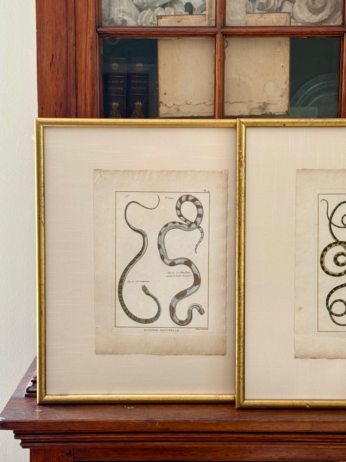 French 18th Century Snake Engravings