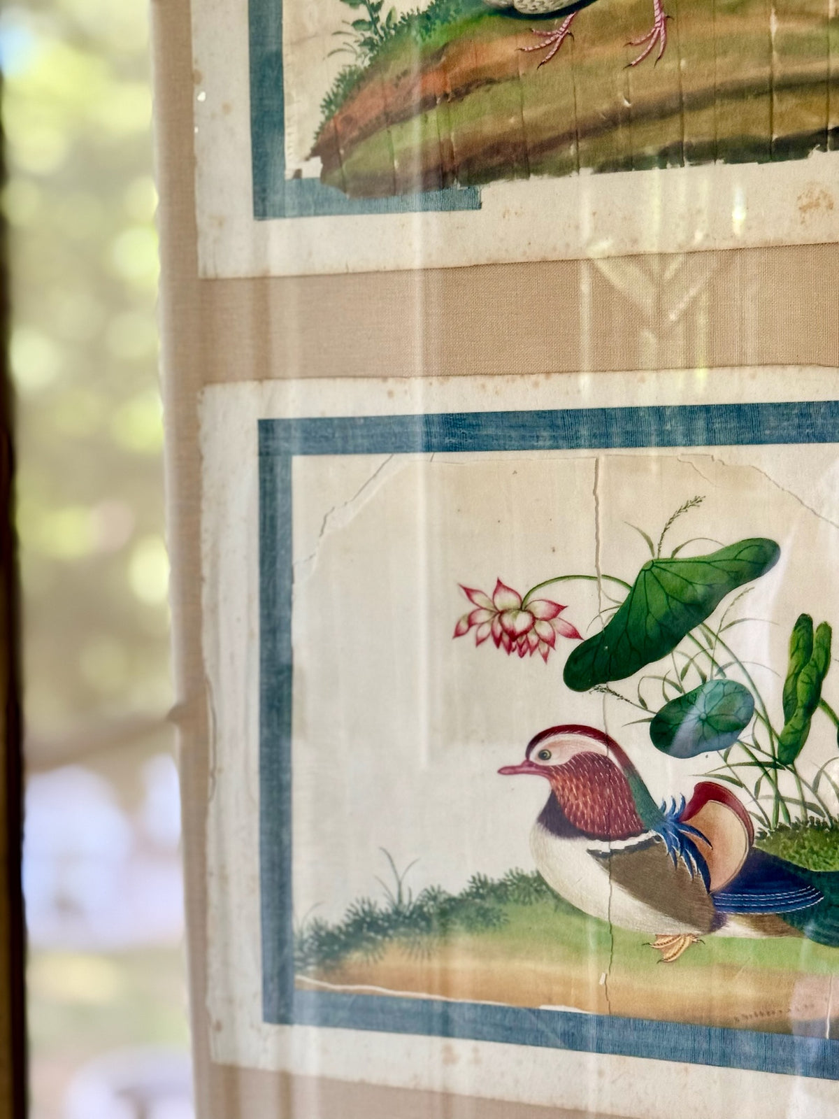18th Century Chinese Export Paintings