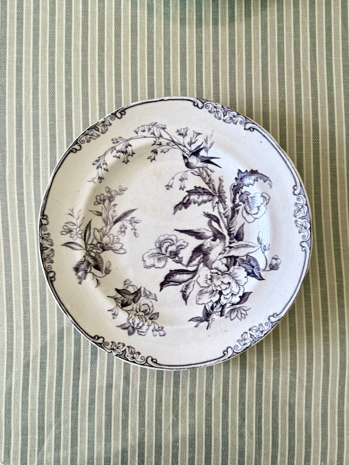 Set of 5 Antique Eastern Birds Transferware Plates