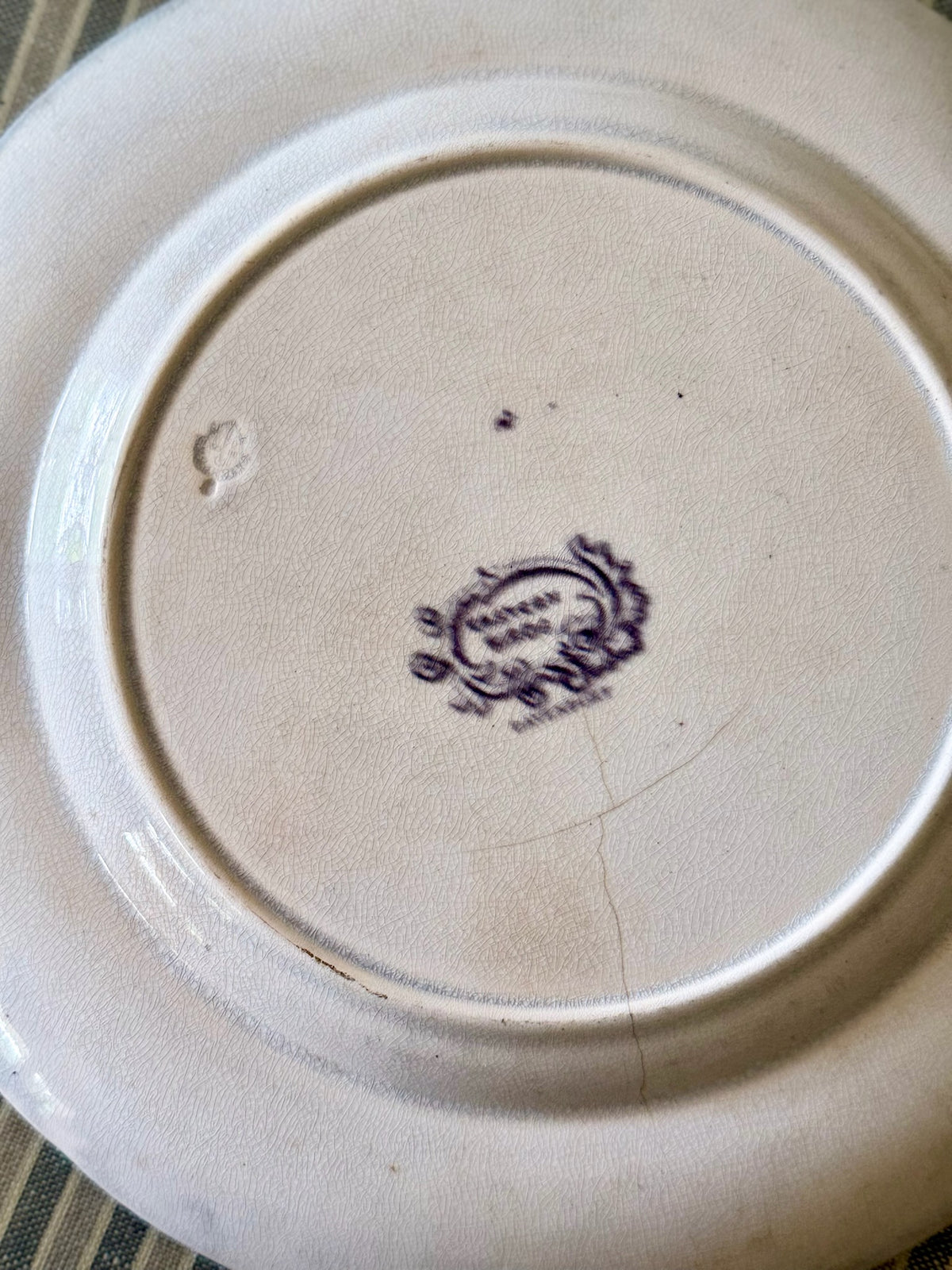 Set of 5 Antique Eastern Birds Transferware Plates