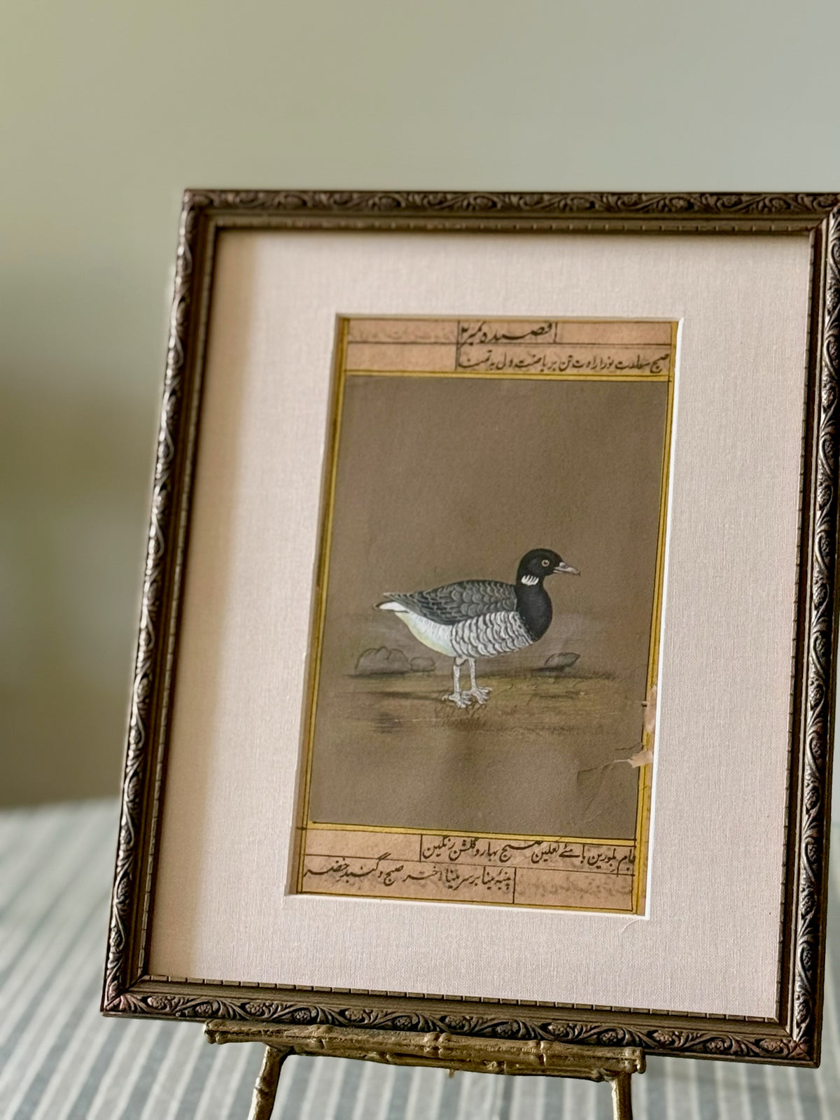 Antique Indian Bird Watercolor Painting