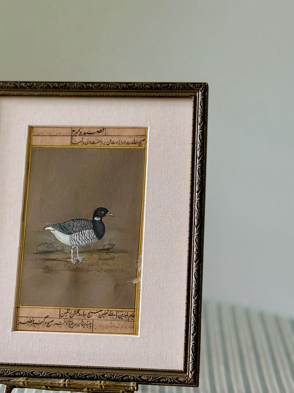 Antique Indian Bird Watercolor Painting