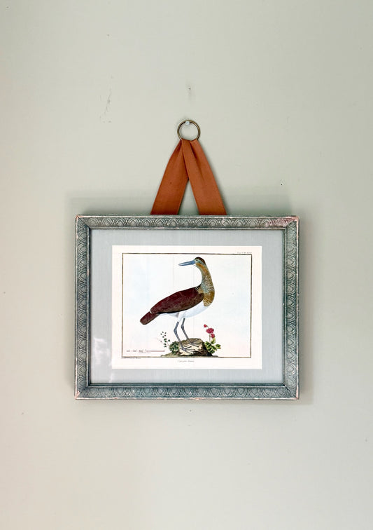 18th Century Hand Painted French Bird Engraving