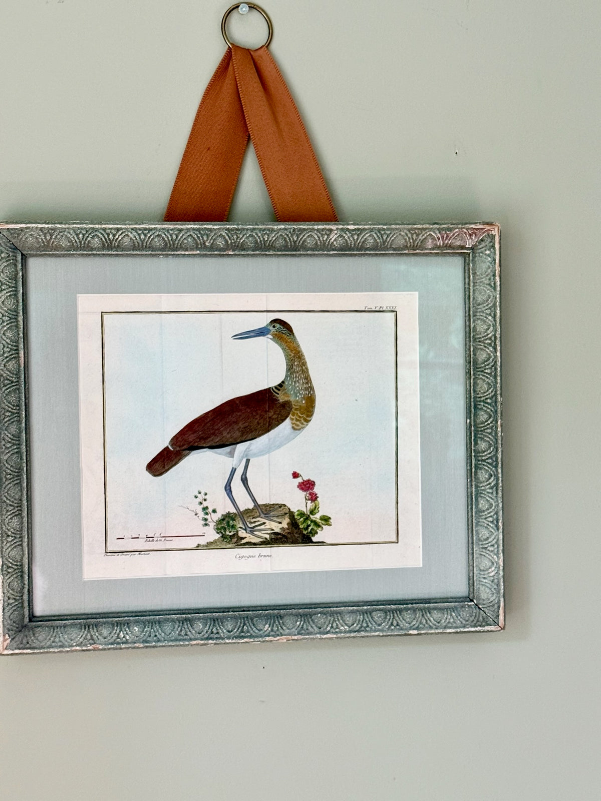 18th Century Hand Painted French Bird Engraving