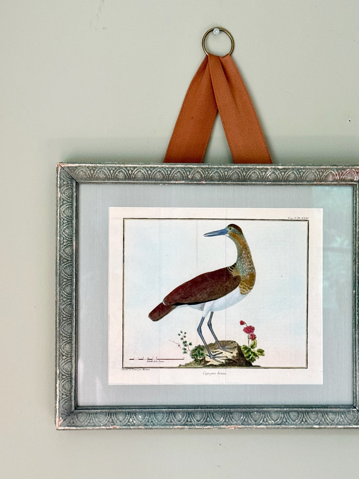 18th Century Hand Painted French Bird Engraving