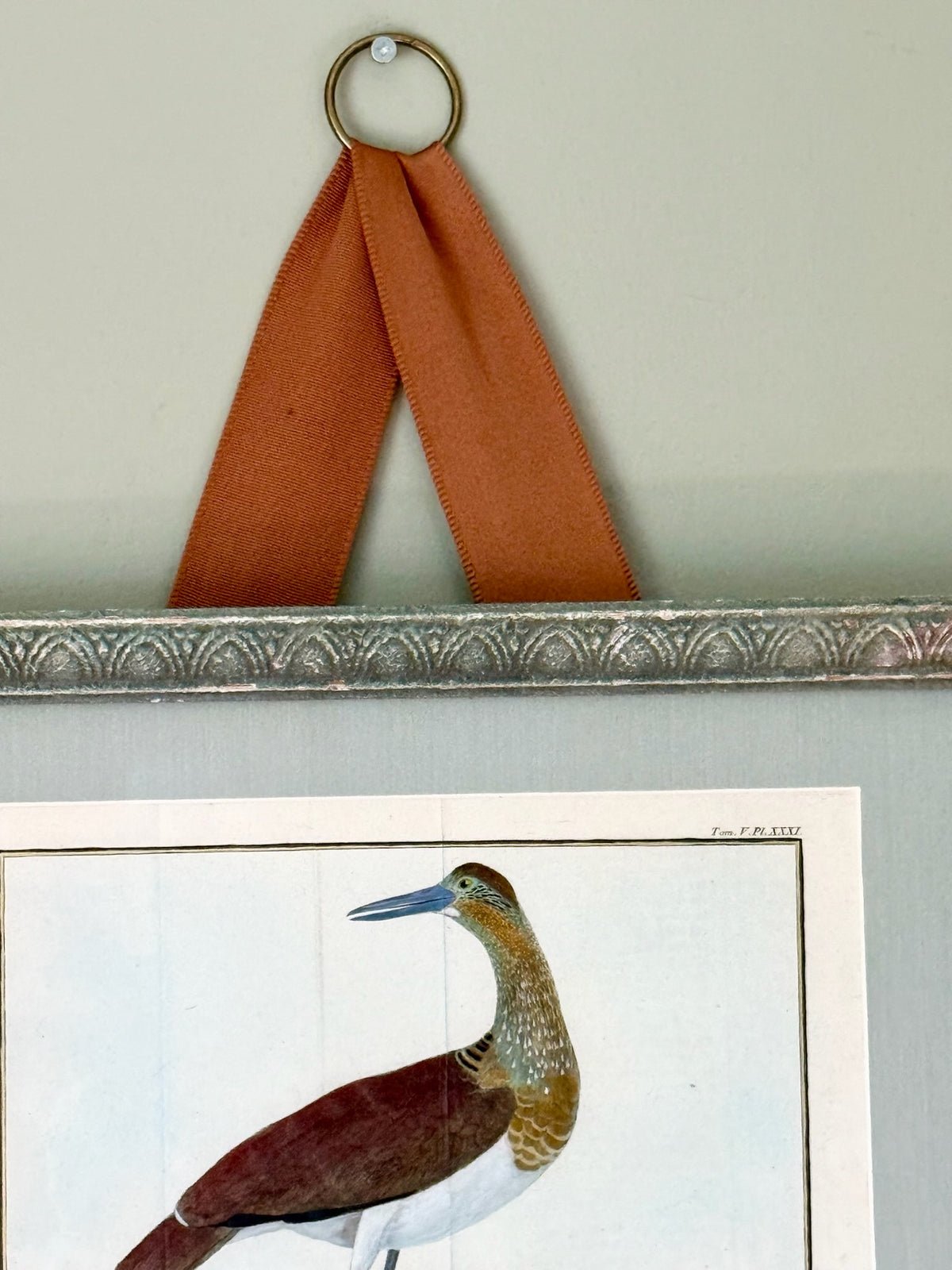 18th Century Hand Painted French Bird Engraving