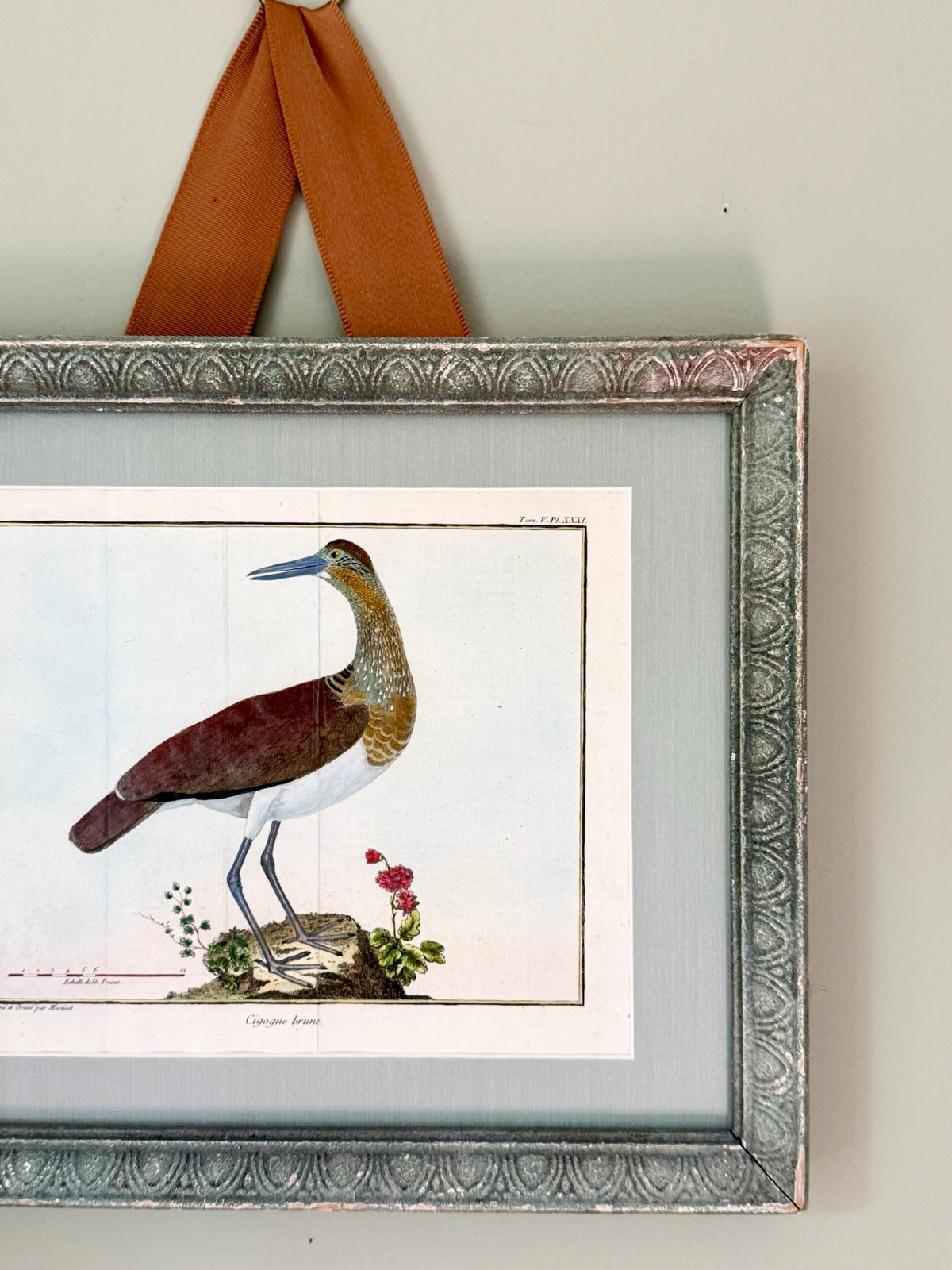18th Century Hand Painted French Bird Engraving