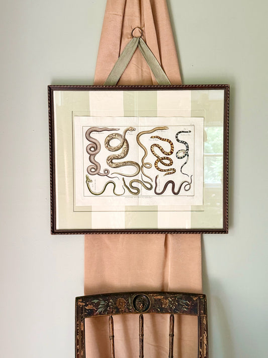 18th Century Hand Painted French Snake Engraving