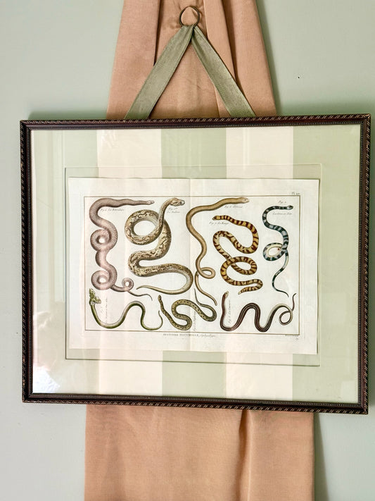 18th Century Hand Painted French Snake Engraving
