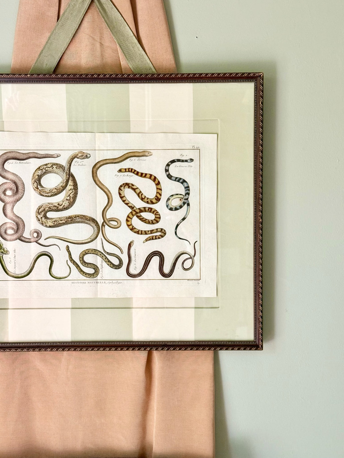 18th Century Hand Painted French Snake Engraving