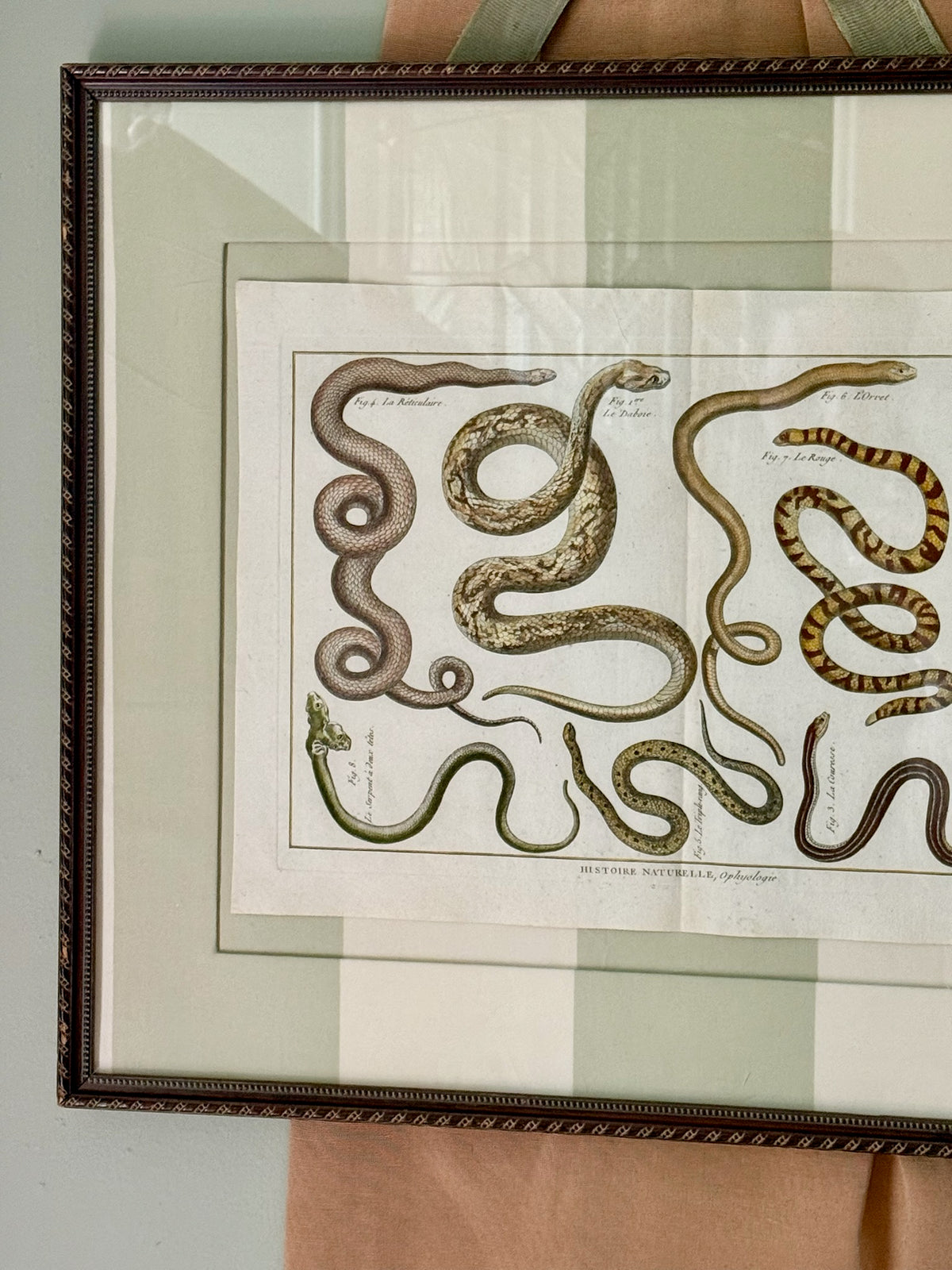 18th Century Hand Painted French Snake Engraving