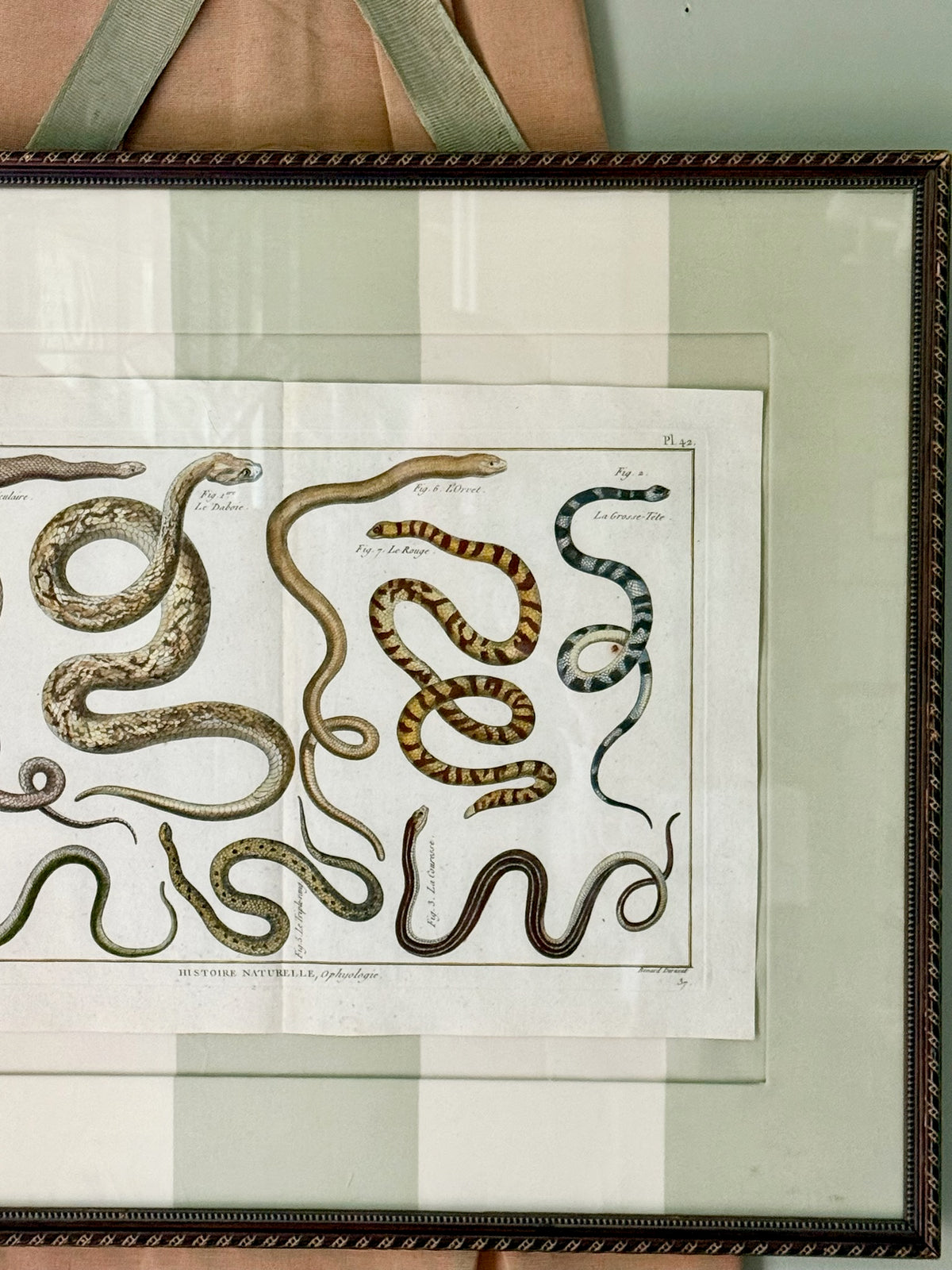 18th Century Hand Painted French Snake Engraving