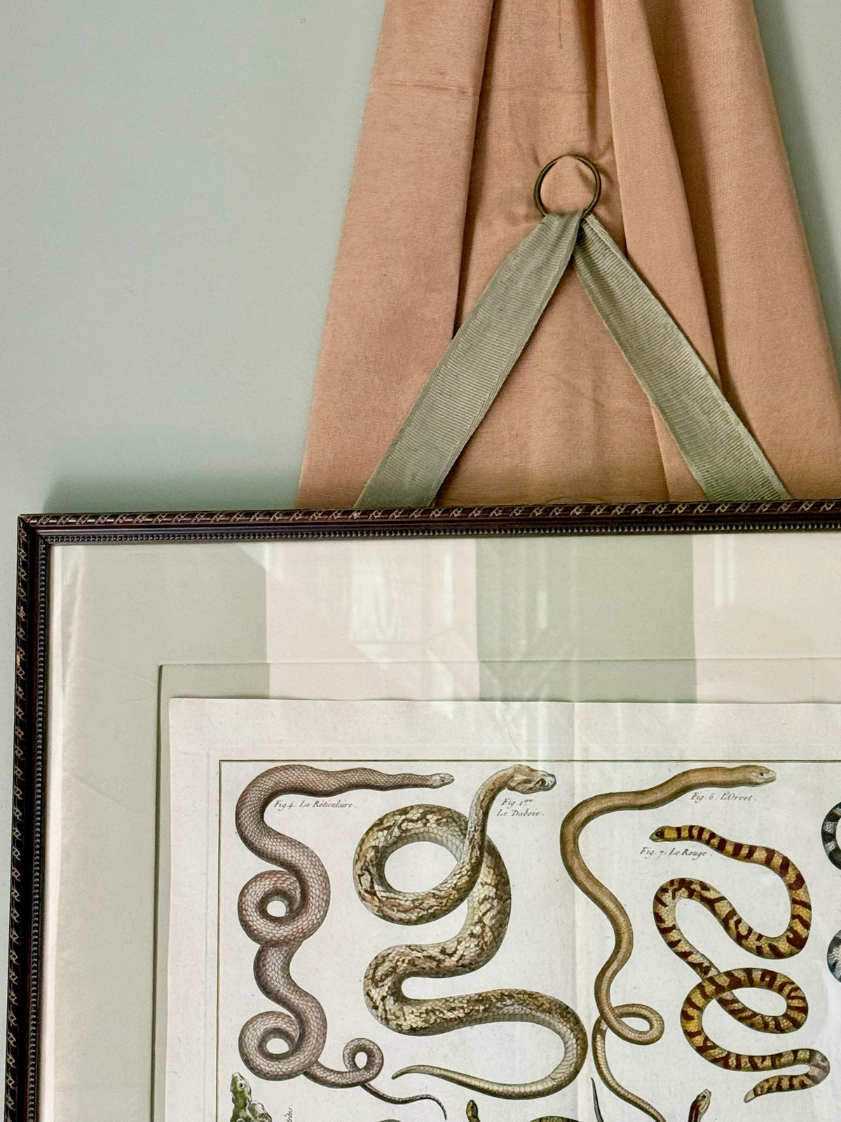 18th Century Hand Painted French Snake Engraving
